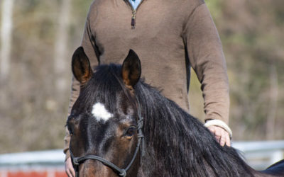 Clinic Update: Justin