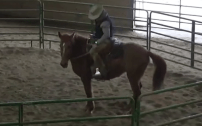 Sienna’s First Ride!