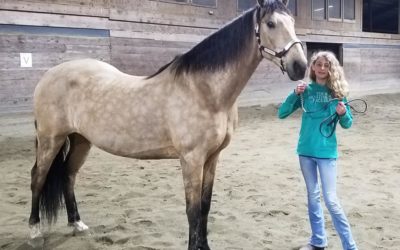 Alumni Update: Biscotti