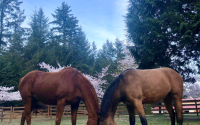 Dottie and Piper, Living the Good Life