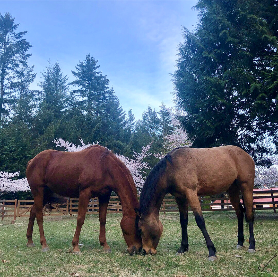 Dottie and Piper, Living the Good Life