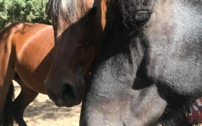 Getting To Know Cassidy