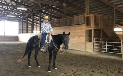 Luna: Training Update