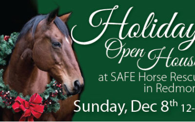 Holiday Open House — Dec 8 2019