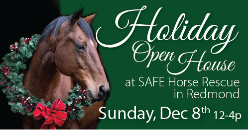 Holiday Open House — Dec 8 2019