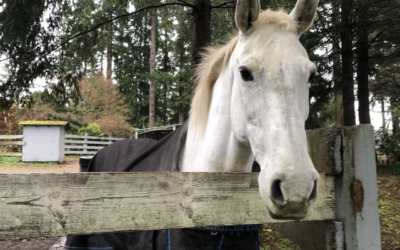 Butter’s New Look