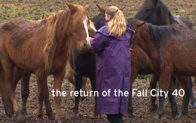 Horses Rescued in Enumclaw