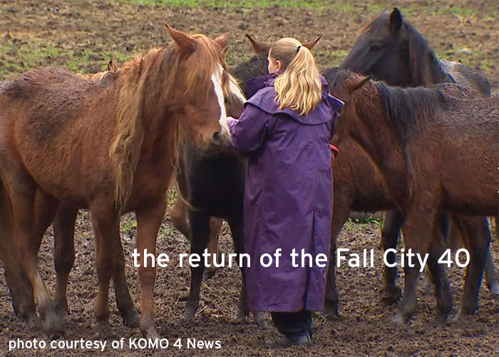 Horses Rescued in Enumclaw