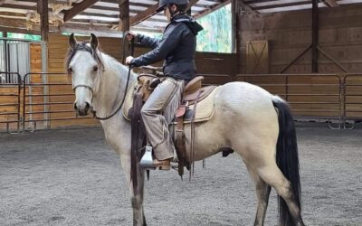 George’s Second Ride (Video)