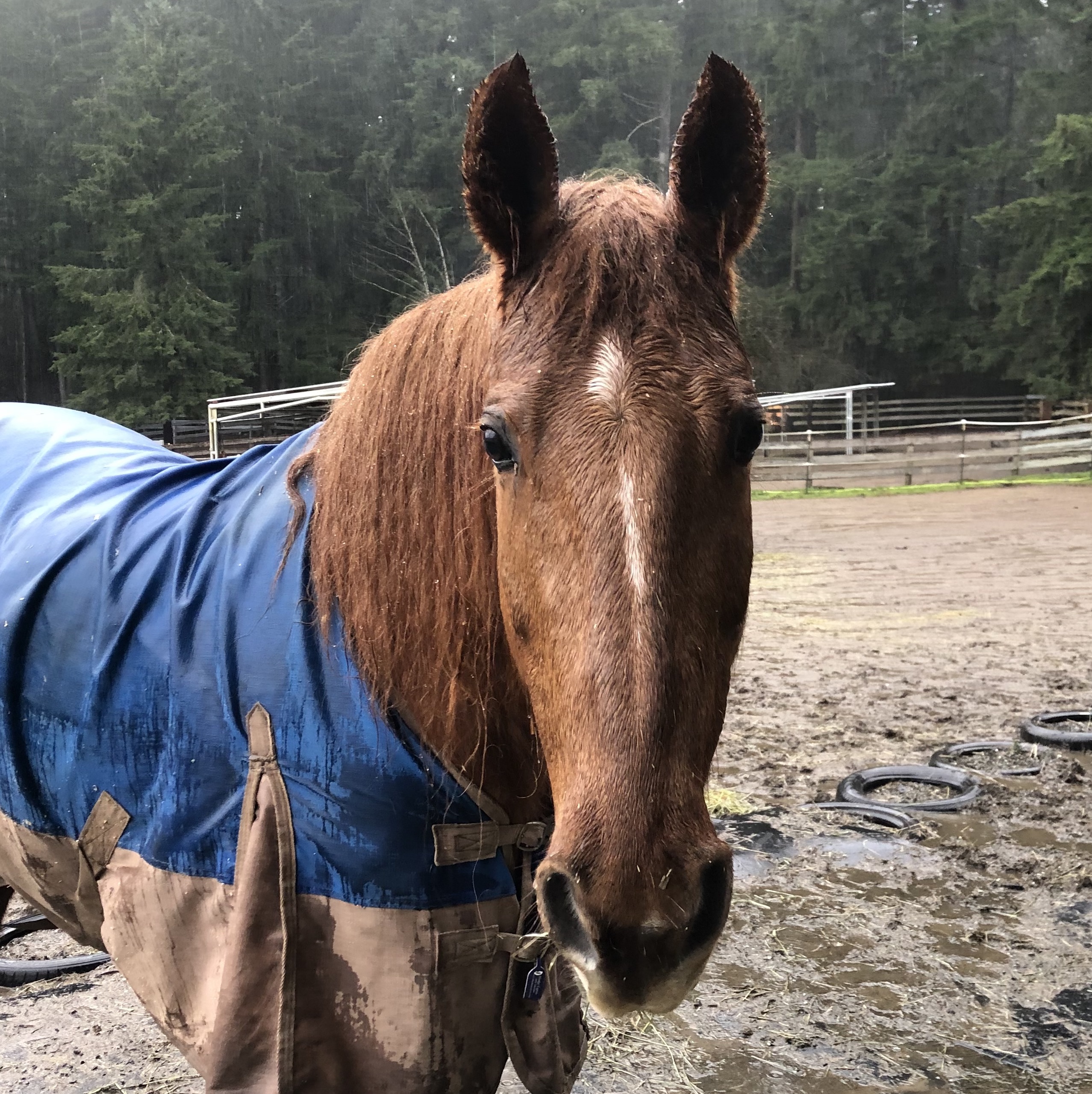 Rain Rain Go Away