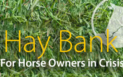 Hay Bank Update
