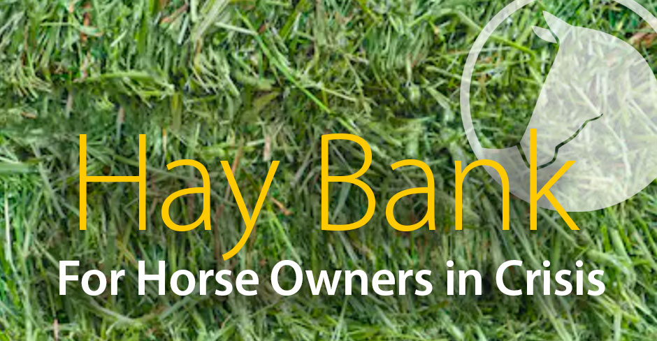 Hay Bank Update