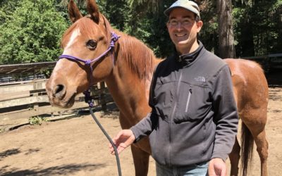 The Power of Positive Energy on Horses, by Marty Abdo