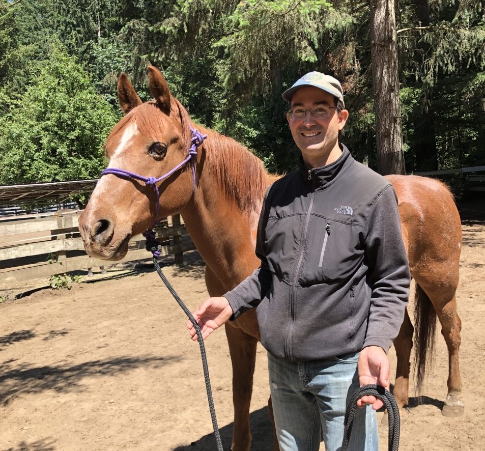 The Power of Positive Energy on Horses, by Marty Abdo