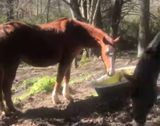 SAFE Alumni Update: Rusty