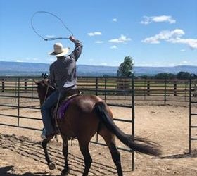 Training Update: Jollie