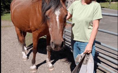 A Visit with Atticus