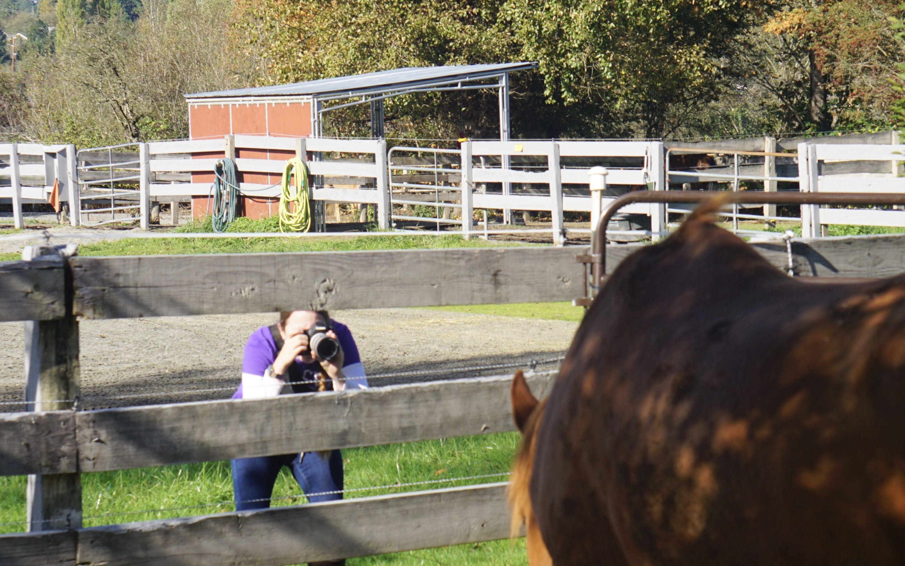 November Volunteer of the Month: Kristina Oden