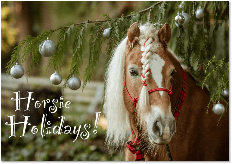SAFEholidaycard_2021_front