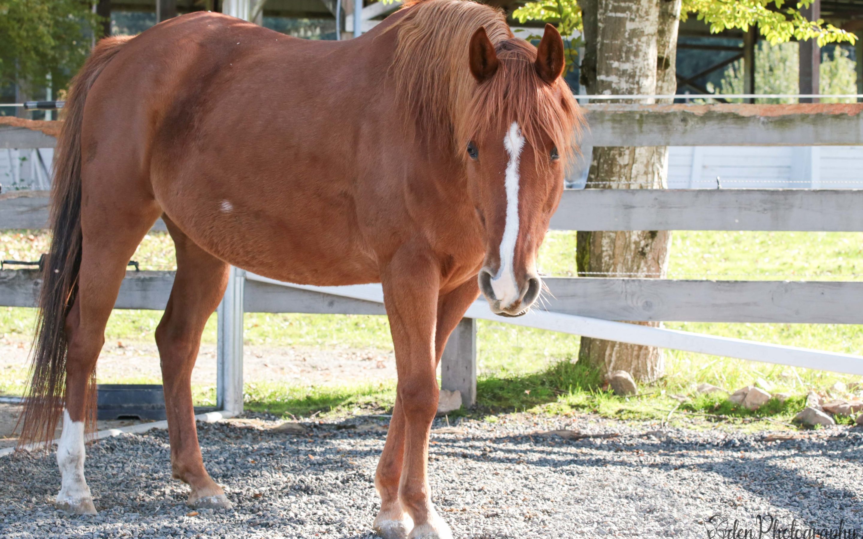 Darling Teddi is Feeling Better