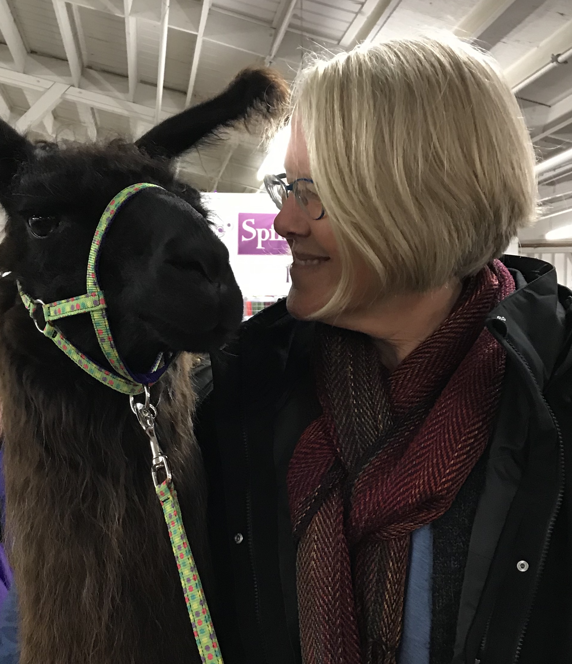 December Volunteer of the Month: Lisa Schildt