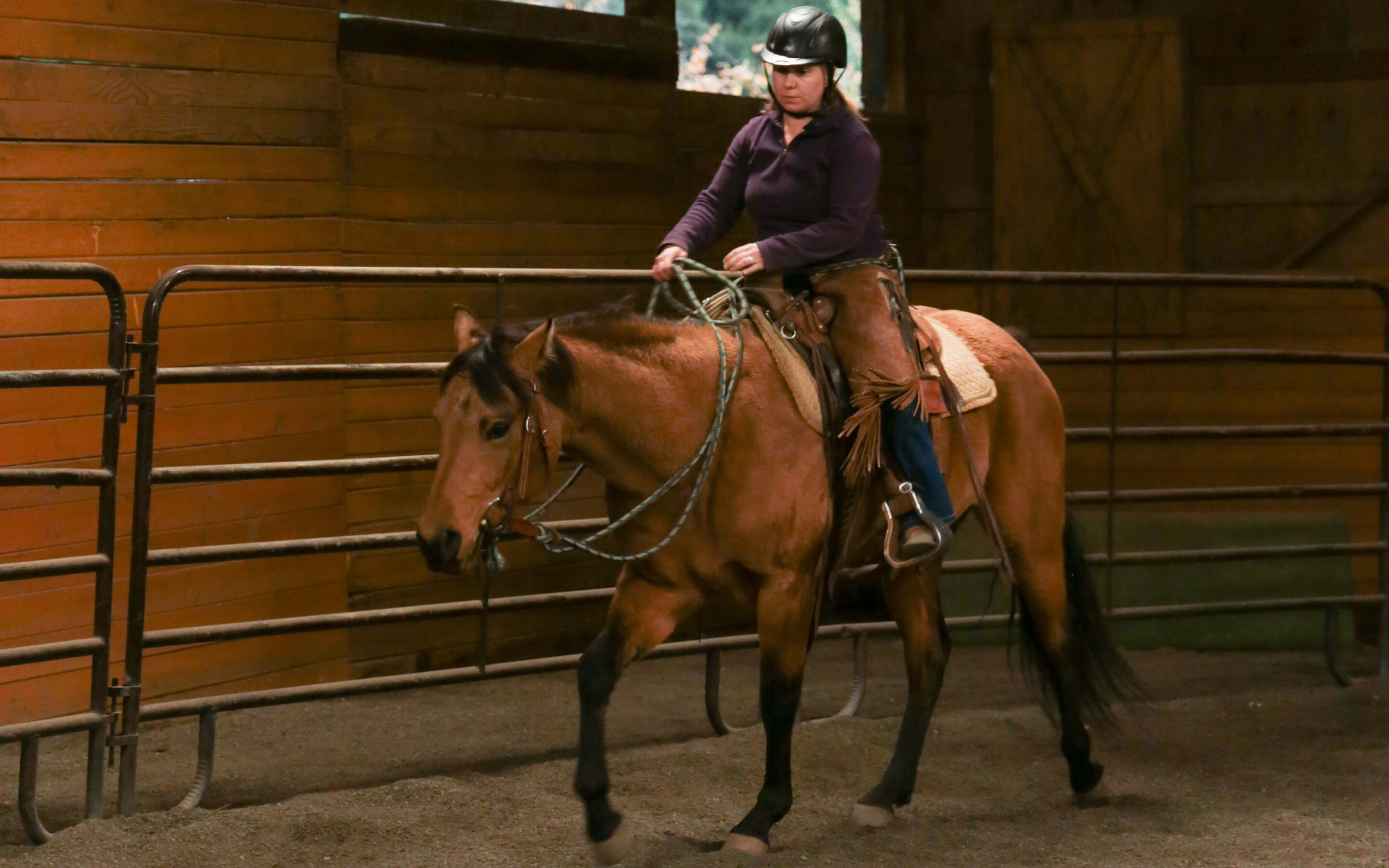 Piper Works on Steering