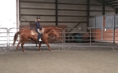 Back in the Saddle with Sienna