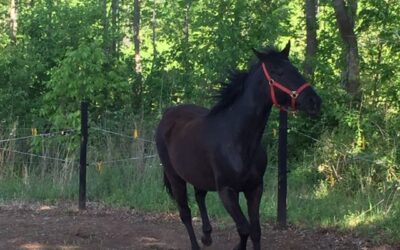 Alumni Update: Bubbles