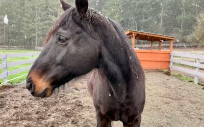 Cyrus Is On The Mend