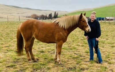 Alumni Update: Glory