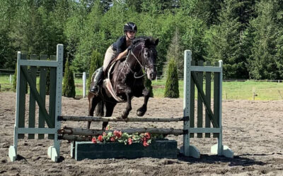 Alumni Update: Misty