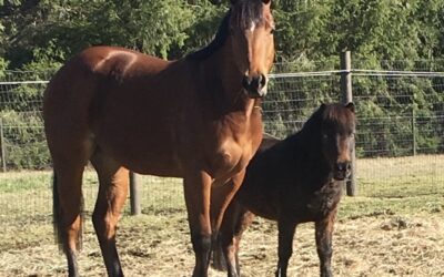 Alumni Update: Ruckus