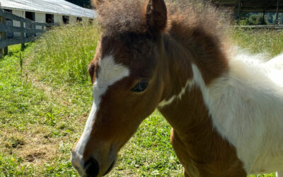 Two Months Old!