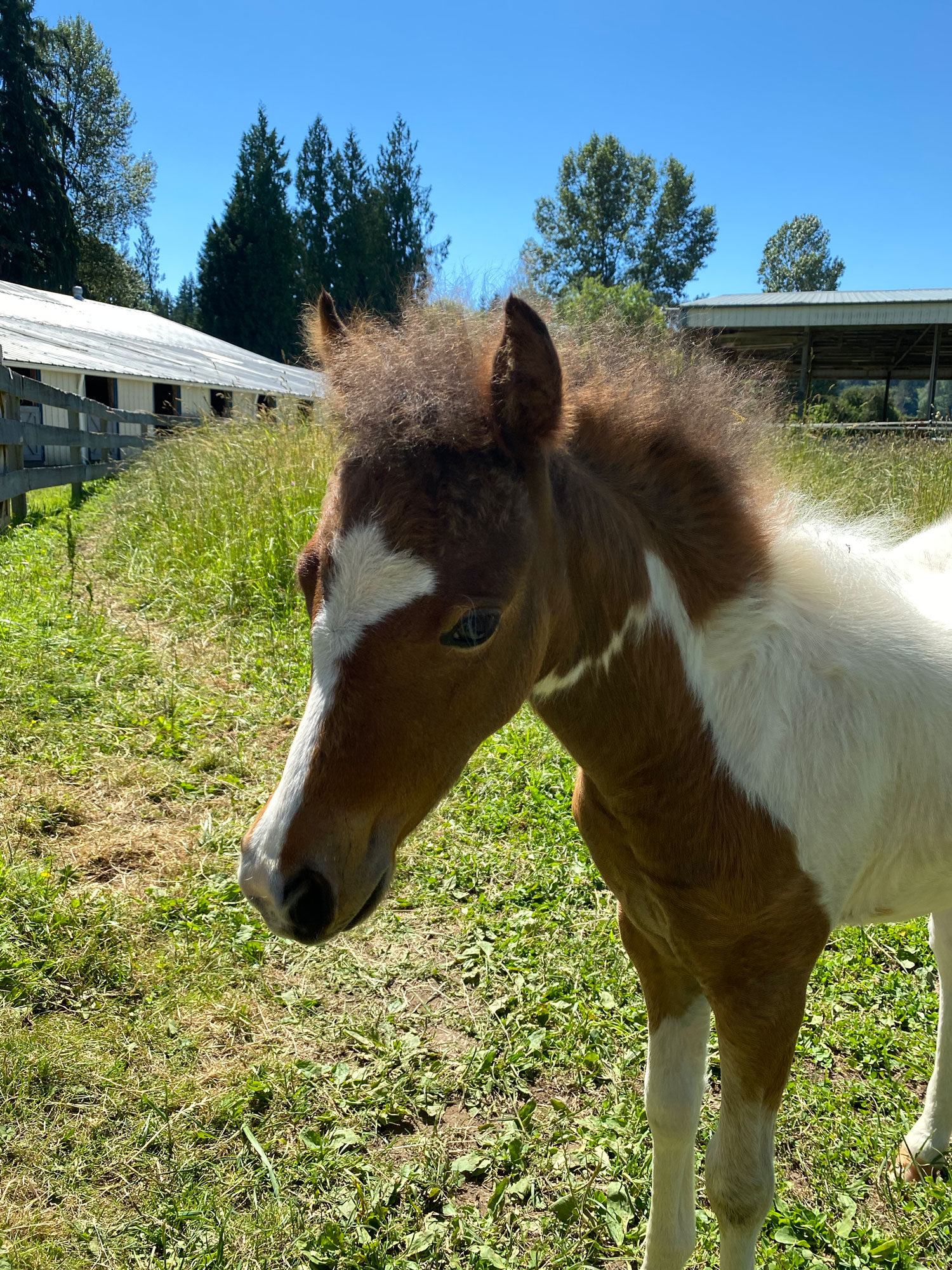 Two Months Old!