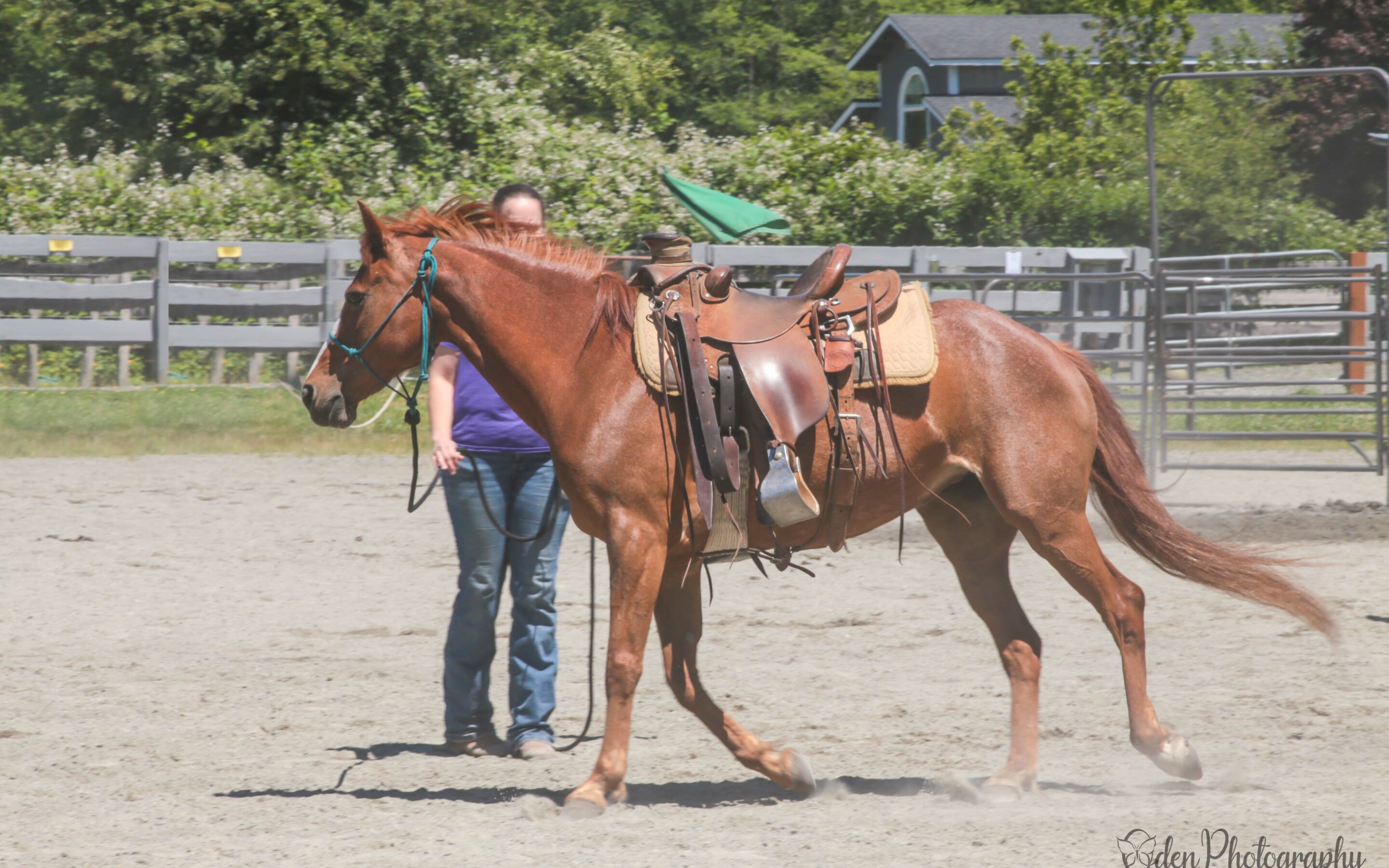 Training Update: Aries