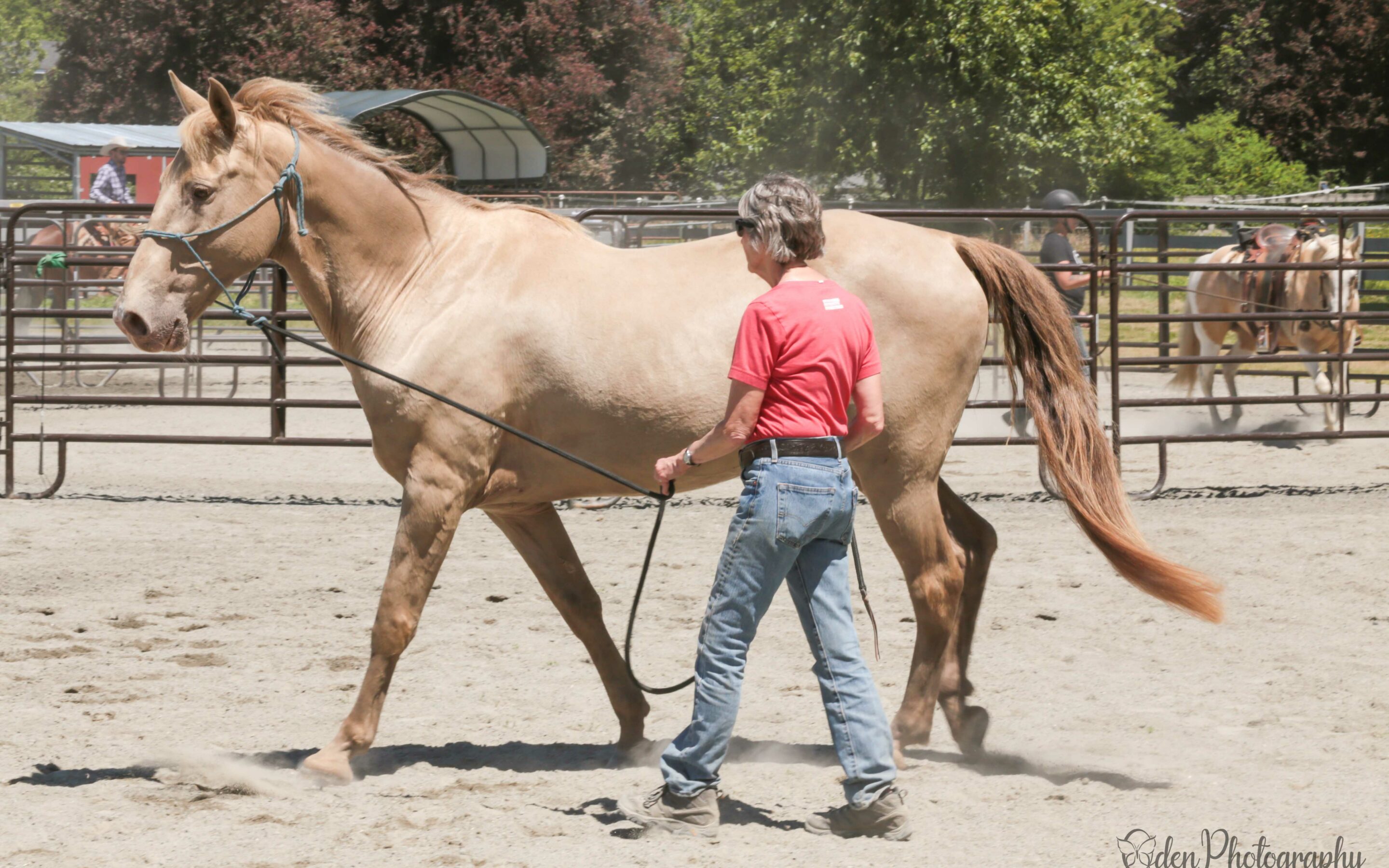 Training Update: Jasper