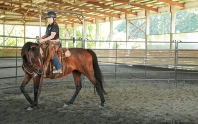 Video Update: Kayla
