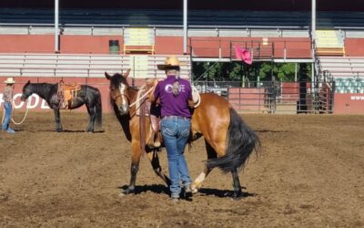 Pepper at the Buck Brannaman Clinic