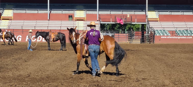 Pepper at the Buck Brannaman Clinic