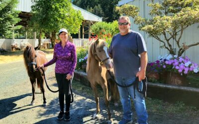 Breve and Checkers are Adopted!