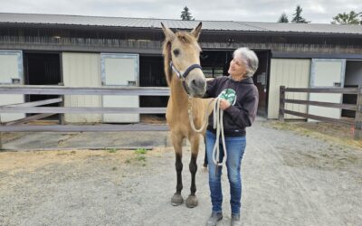 Esme is Adopted!