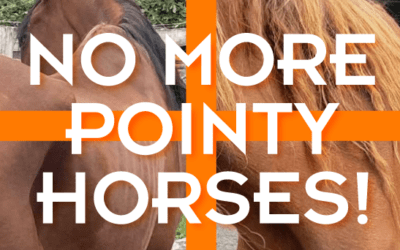 No More Pointy Horses!