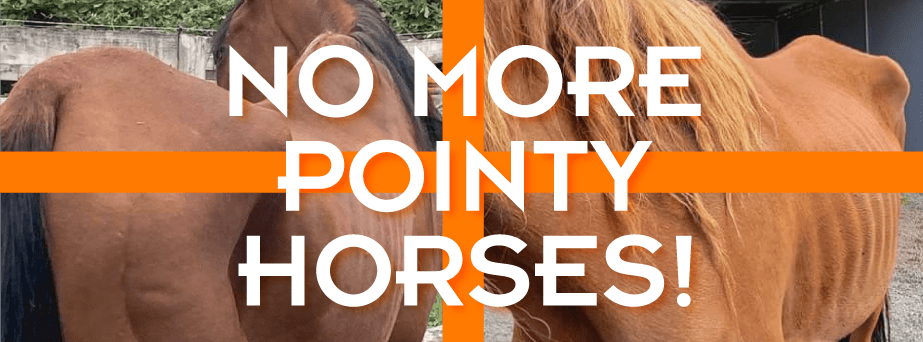 No More Pointy Horses!
