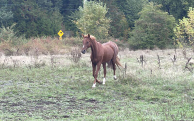 Alumni Update: Annie