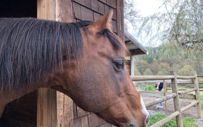 Alumni Update: Cosmo