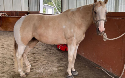 Alumni Update: Jewel