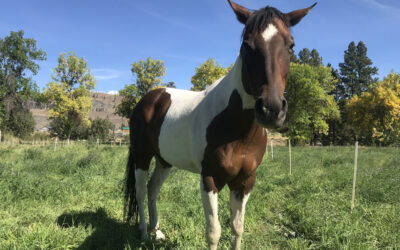 Alumni Update: Tabitha (Willa)