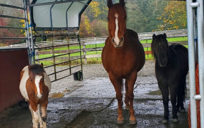 Coco is Weaned
