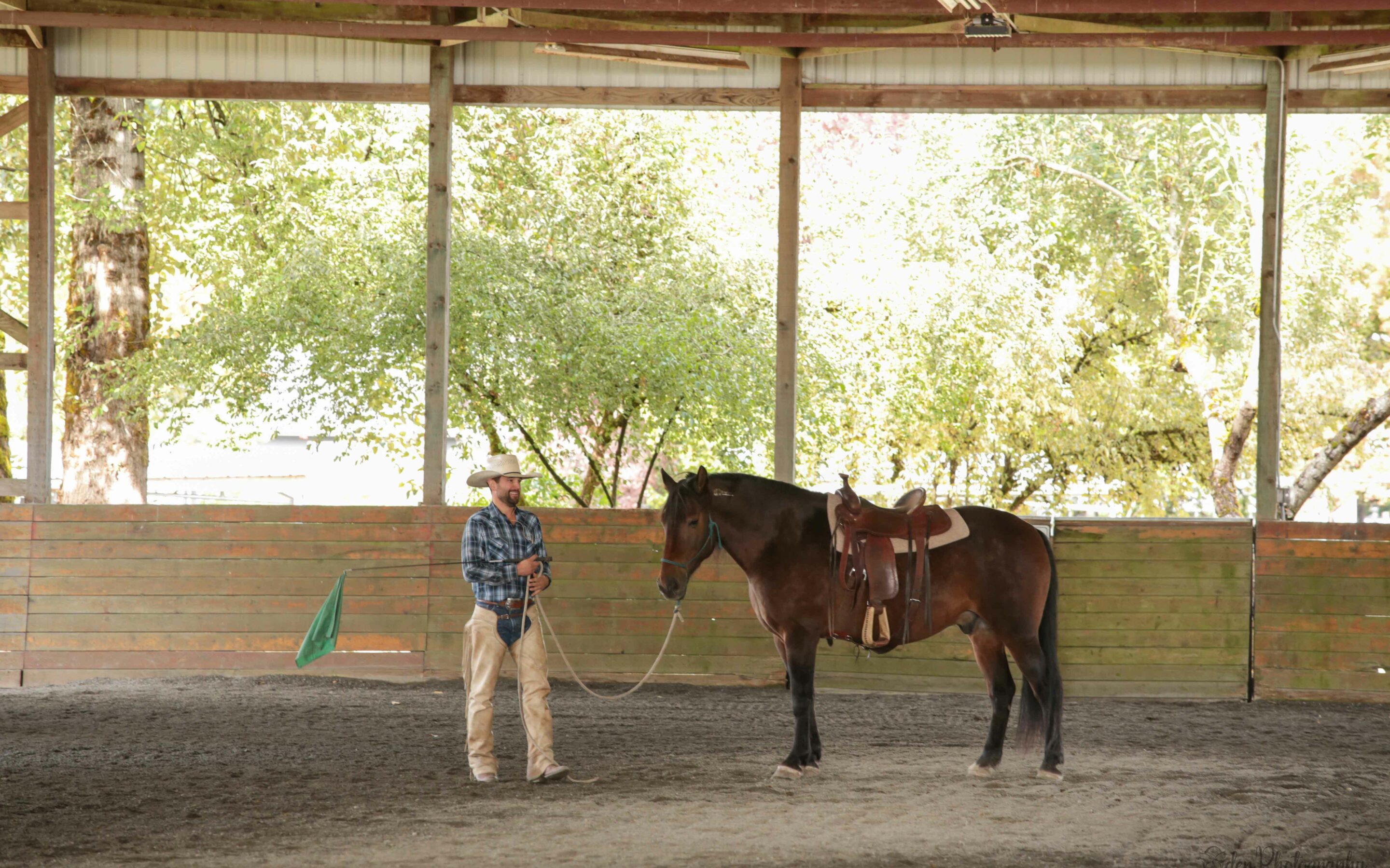 Finding Peace Under Saddle for Nyx