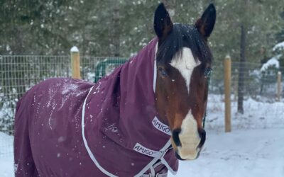 Cold Weather is Coming!